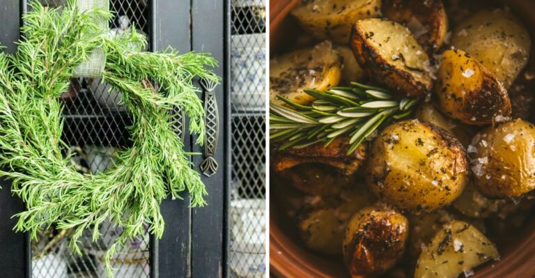 8 Creative Ways Pennsylvanians Can Use Rosemary This Fall