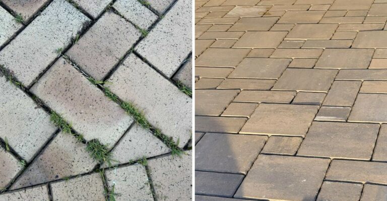 Simple Tricks To Stop Weeds Between Pavers In A California Yard