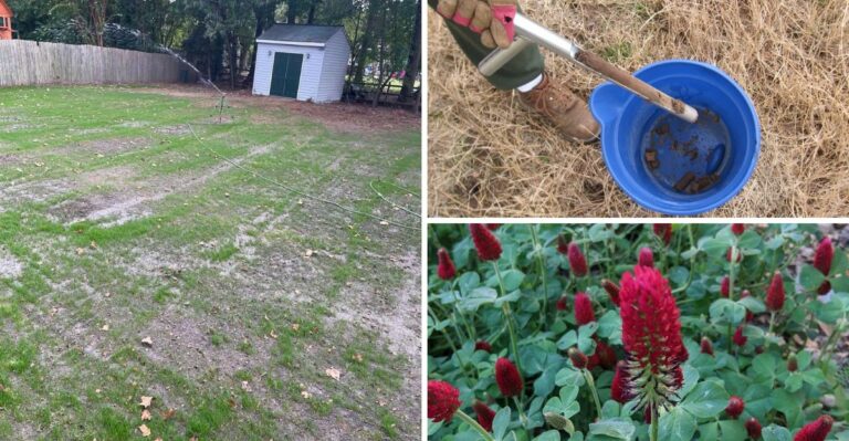 10 Virginia Zone 7a Yard Tasks To Finish Before October 15