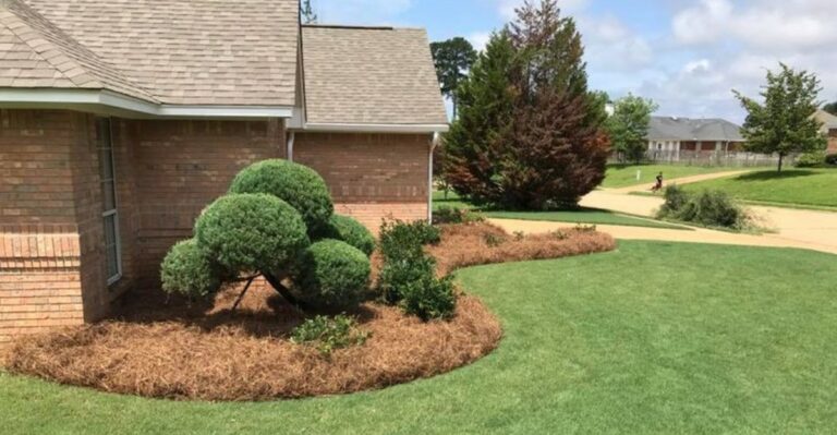 This Common Georgia Mulch Can Become A Fire Hazard During Dry Fall Weather