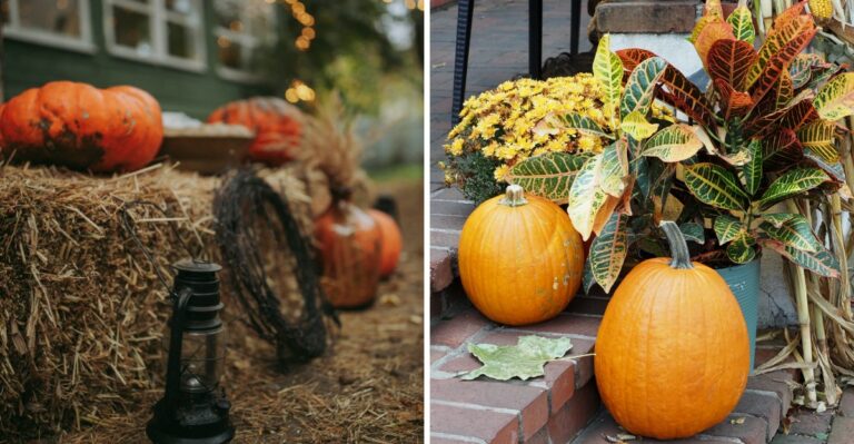 Don’t Carve It Yet, Here’s How To Turn Your Pumpkins Into A Fall Garden Standout In New Jersey
