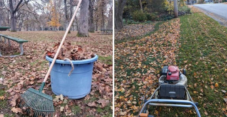 Can You Mow Over Leaves In A New York Yard? Here’s What Works