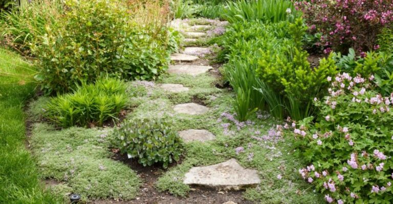 The Walkway Planting Mistake That Lets Weeds Creep Into North Carolina Yards
