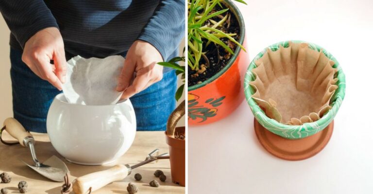 Here’s Why You Should Always Put A Coffee Filter In Your New York Flower Pots
