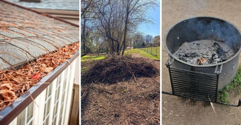 The Yard Debris That Raises Wildfire Risk In Virginia This October