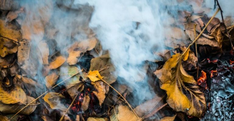 Burning Leaves In Your Virginia Yard Could Land You A Fine This Fall