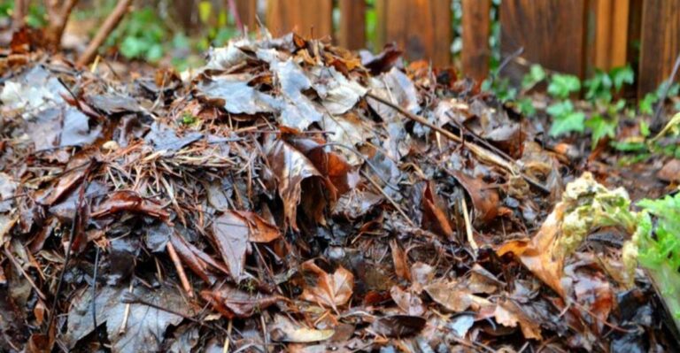 Missouri Curbs Fill With Bags Of A Free Soil Booster Every Fall