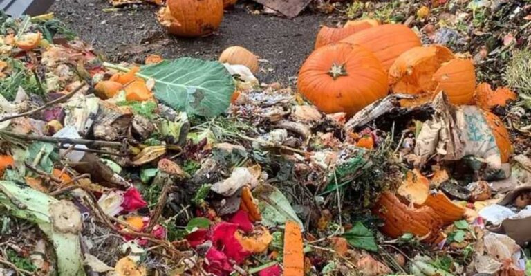 What Freezing Nights Do To Michigan Jack-O’-Lanterns And The Right Way To Compost Them