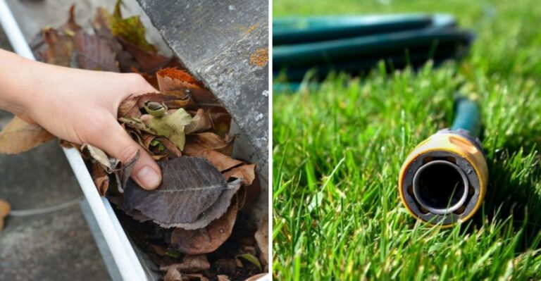 What To Do In Your California Garden The Day Before A Red Flag Warning