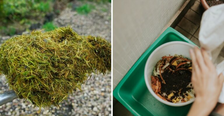 7 Things You Should Keep Out Of Your Compost Pile This Fall In Texas