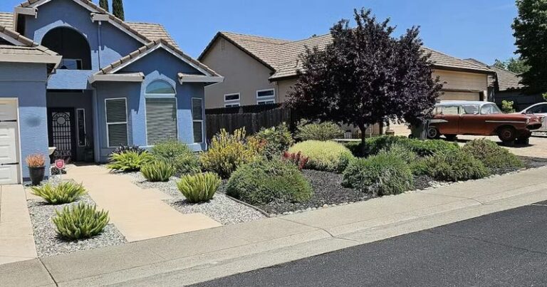 Arizona Has No Blanket Native Landscaping Protection From HOAs, and Your Documents Decide the Outcome