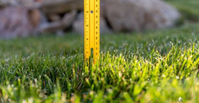 The Last Lawn Mow Of The Year And Why Height Matters More Than You Think
