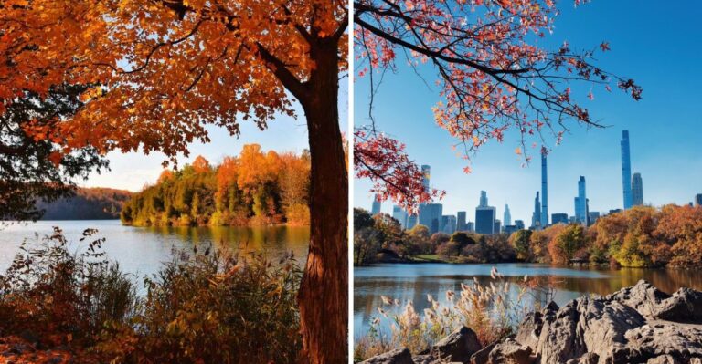 The Best New York Foliage Weeks To Book Before Peak Crowd Season