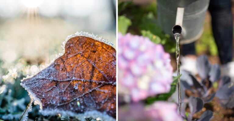 What Clocks Falling Back Means For Your Pennsylvania Garden Routine