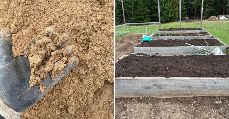 Should You Add Sand To California Clay Soil?