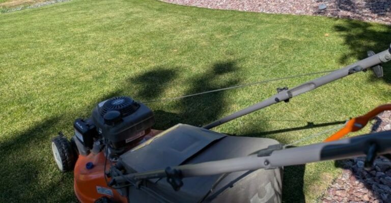 Here’s When To Stop Moving Your Virginia Lawn In Fall