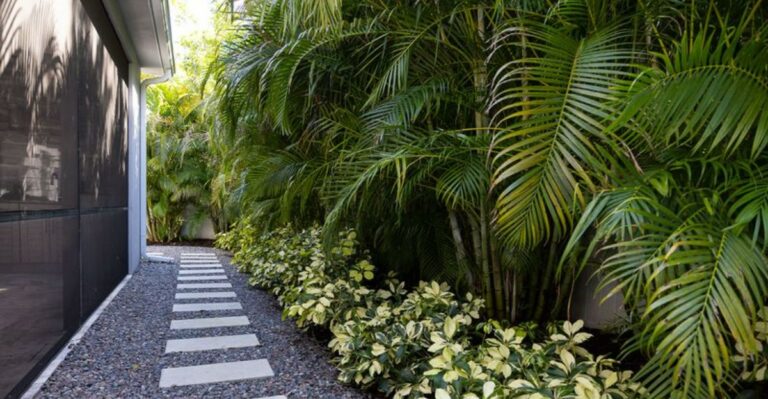 Before Buying Another Florida Tropical Plant This Fall, Check The Lowest Temperature It Can Handle