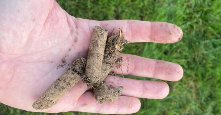 Now That The Heat Has Broken, It’s Time To Aerate Your North Carolina Lawn