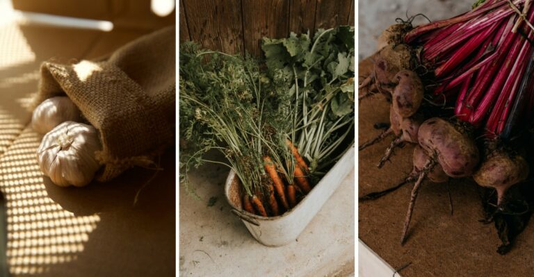 12 Vegetables You Can Grow In October In Containers