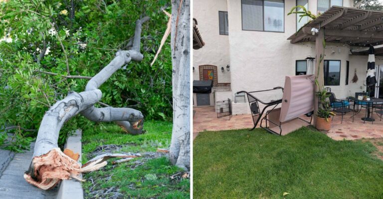 California Gardeners Are Running Out Of Time To Prepare For These Santa Ana Winds