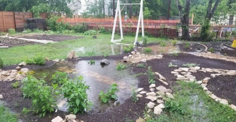 The Yard Problems New York Homeowners Should Watch For After Heavy Fall Rains