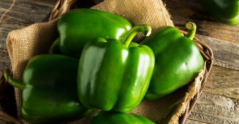 What To Do With Green Peppers Before The First Frost