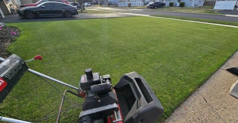 Mow Like This In October, And Your Virginia Lawn Comes Back Stronger