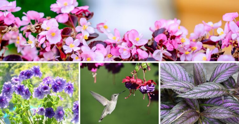 The Annual Flowers Virginia Homeowners Should Root In Water This Weekend