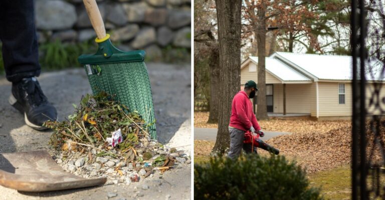 Yard Features That Could Soon Be Banned In Ohio Neighborhoods