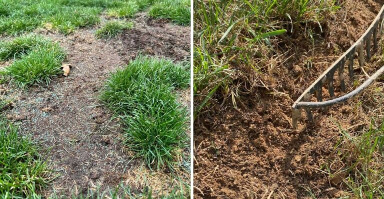 Fixes To Try When Aerating And Overseeding Didn’t Fill Lawn Patches In Ohio