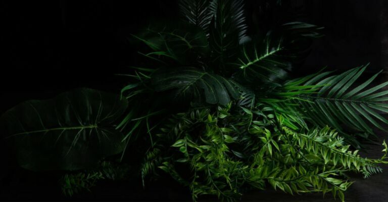 No Windows? These Plants Can Bring Greenery To New York Homes