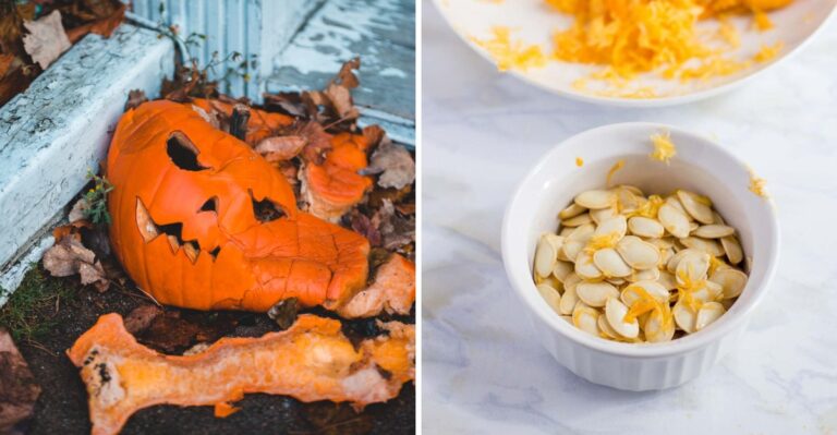 Turn Your Leftover Halloween Pumpkin Into Free Compost For Your Louisiana Beds And Pots