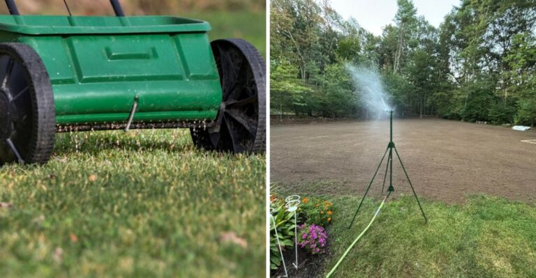The Early October Lawn Routine That Gives California Grass A Head Start On Spring