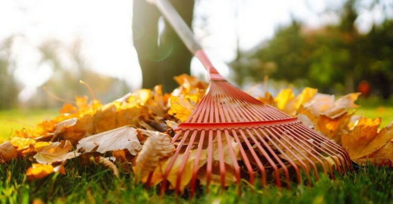 Can Your Ohio HOA Make You Rake Your Leaves?