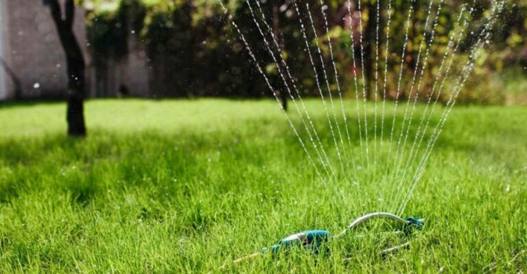 The One Thing Every New York Yard Needs After The Driest September In Years