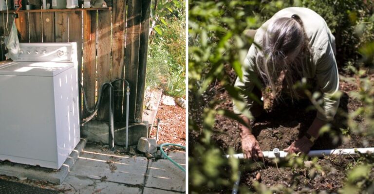 How Graywater Can Help California Gardens Through October Fire Restrictions