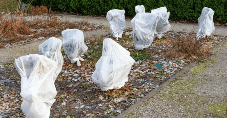 Frost Cloth, Sheet Or Plastic? Know The Difference Before Ohio Gets Cold