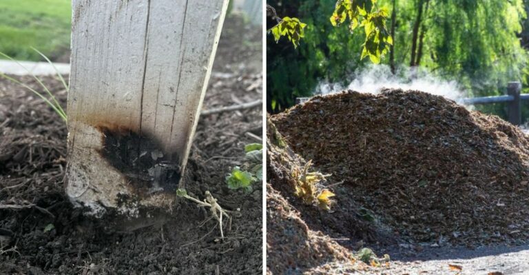 What Is Quietly Heating Up Beneath Your Louisiana Flower Beds This Weekend