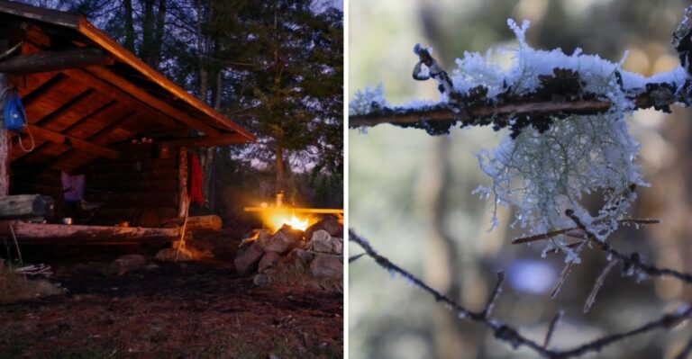 Why Adirondack Cabins See First Frost Weeks Before The Rest Of New York
