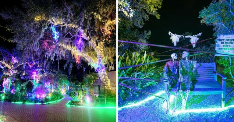 Inside Selby Gardens’ Lights At Spooky Point, Florida’s Halloween Walk Through Plant-Inspired Displays