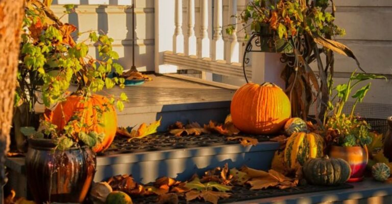 8 Easy Ways To Make Your Alabama Porch Halloween-Ready With Fall Plants