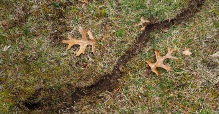 Those Runways Appearing In Your New York Lawn Are Trying To Tell You Something
