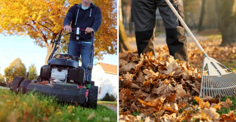 Why Tidewater Virginia Lawns Need Different October Mowing Rules Than Blue Ridge Ones