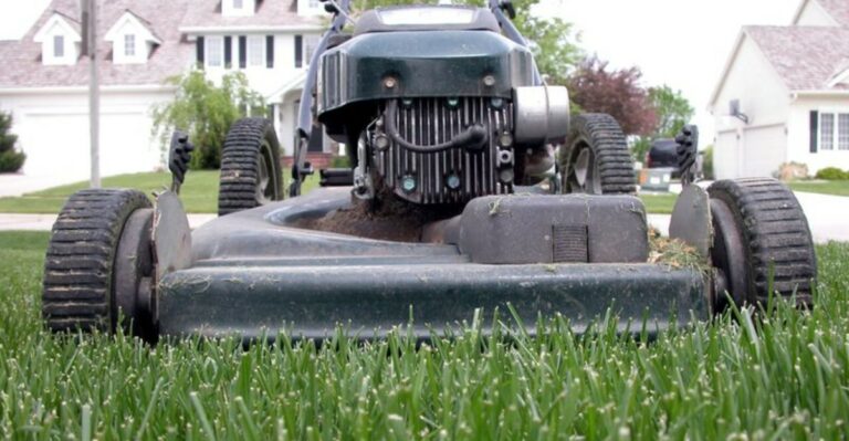 The Yard Work Habit That Can Spark A Fire On Windy California Days