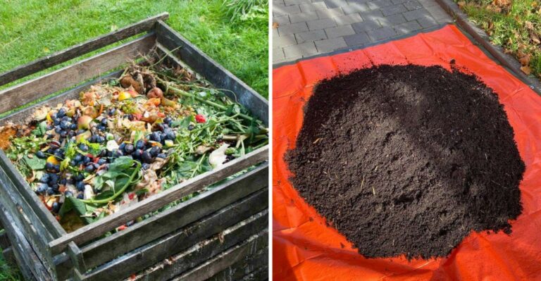 8 Signs Your California Compost Pile Is Ready To Use