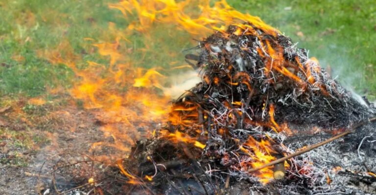 What Ohio Law Says About Burning Leaves In Your Backyard