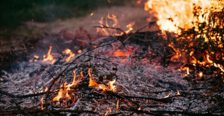 The Fire Risk Zones Every Rural Virginia Homeowner Should Know This Fall