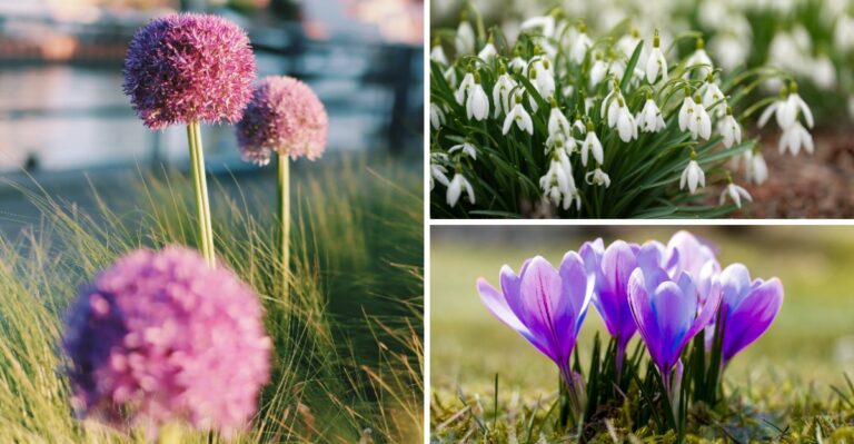 Plant These Flowers In October For A Stunning Spring Display