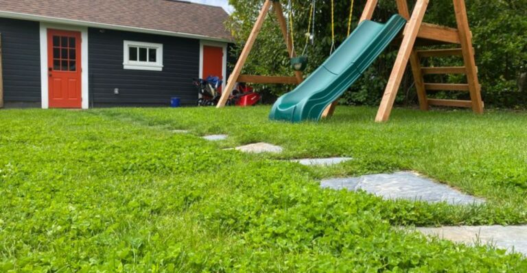 What To Know Before Adding Microclover To A Georgia Lawn This Fall