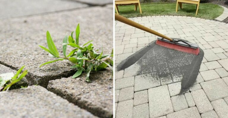 The Simple Tricks To Stop Weeds Between Pavers In Pennsylvania